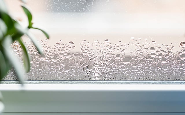 AGS - window-condensation-640x400