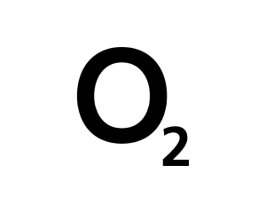 Asset 42