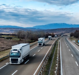 Cat-1-BIS-Fleet-Telematics-273-x-258-