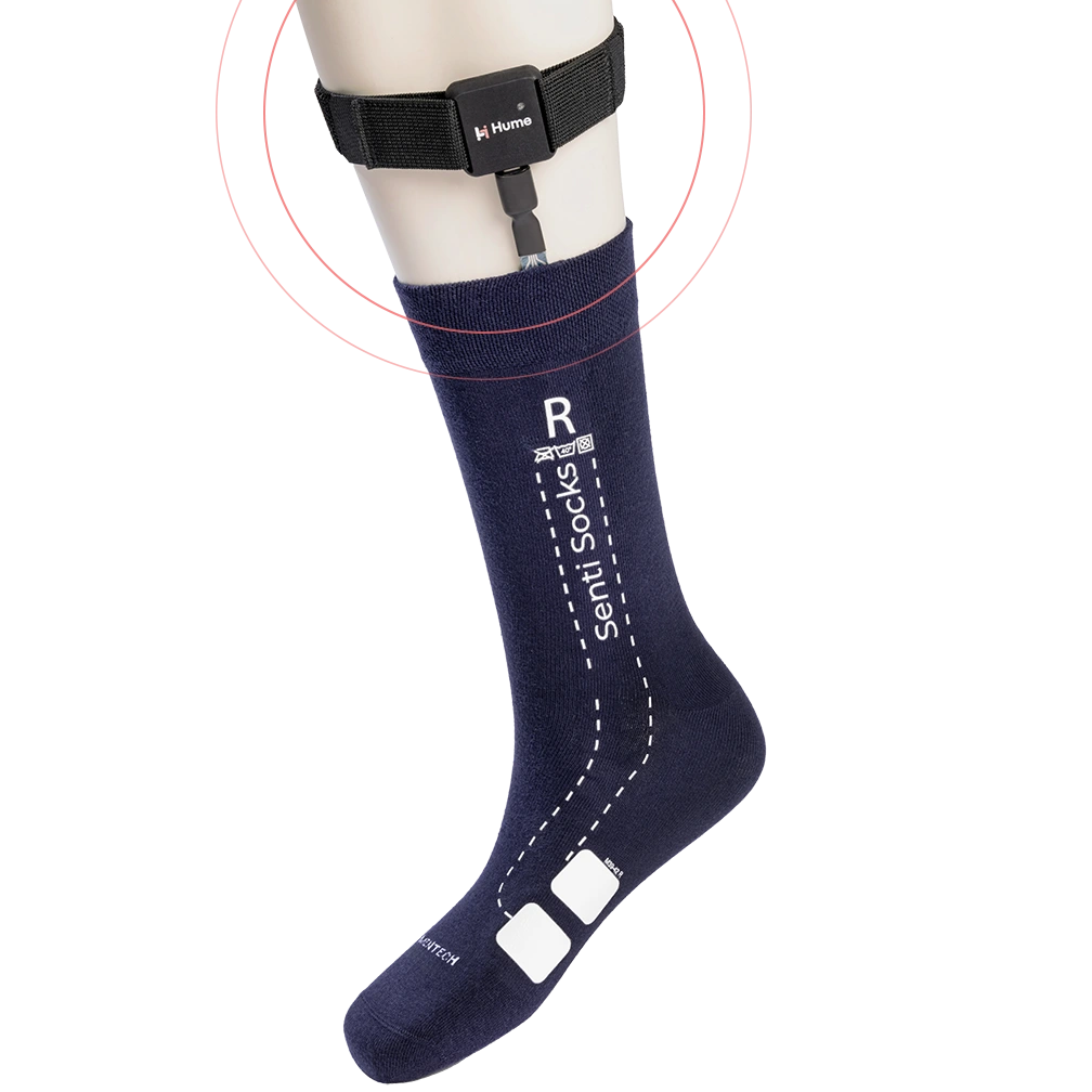 Hume_sock