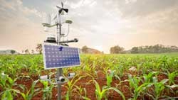 IoT-Environment_Precision-Agriculture_250