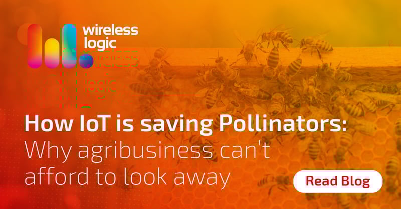 How IoT is saving Pollinators: Why agribusiness can’t afford to look away