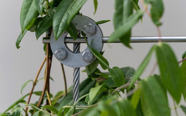 WL_CS_Vertical_Planting-3_640