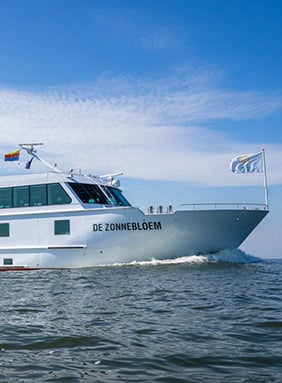 zonnebloem