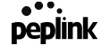 Peplink